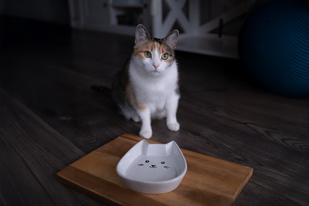 niespielak borys 1 mini